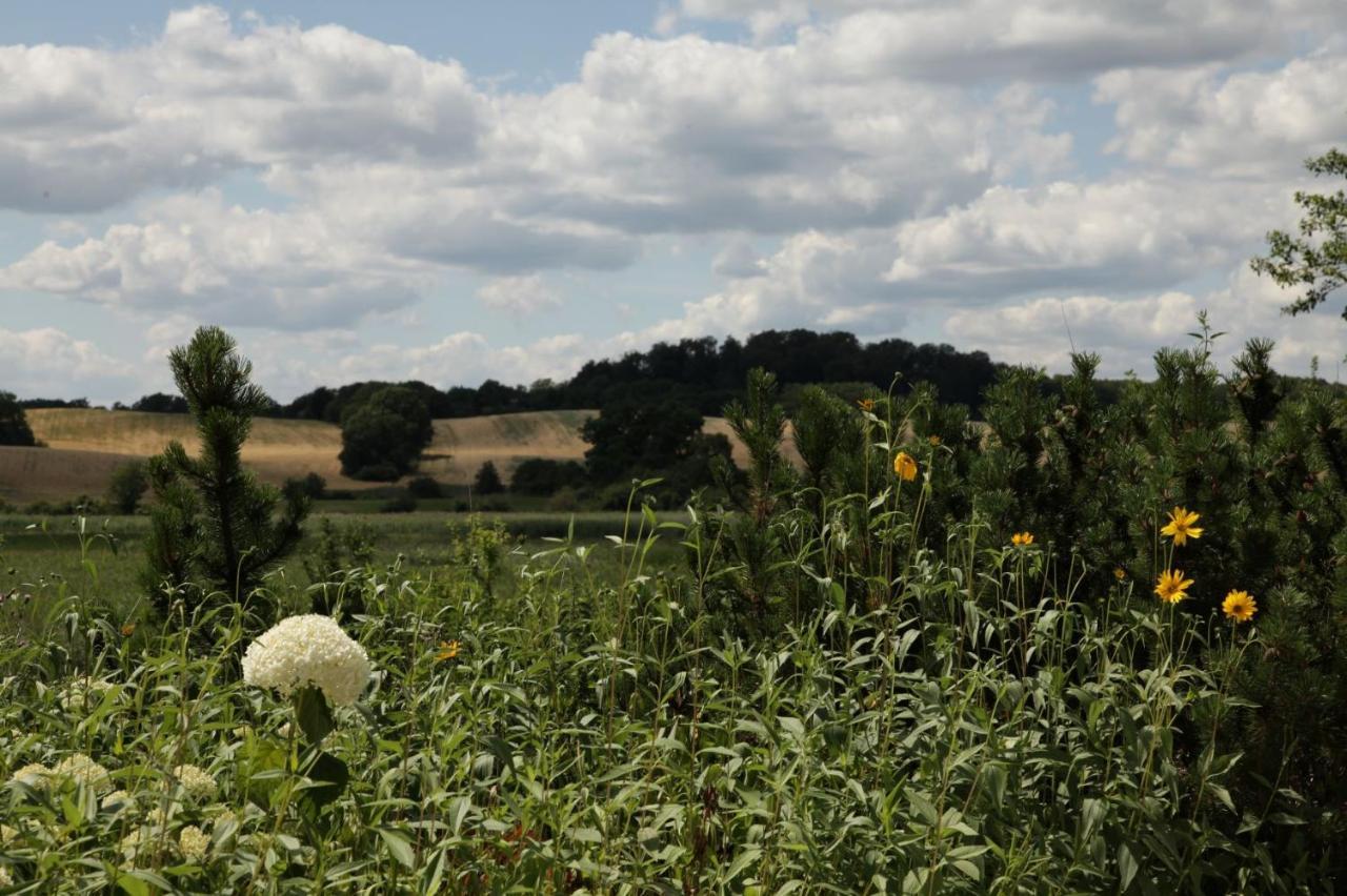 Grosse In Peetzig Am Angermunde