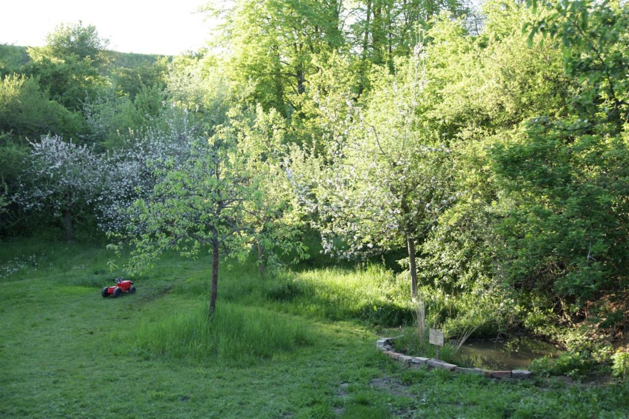 Apartment Grosse In Peetzig Am Angermunde